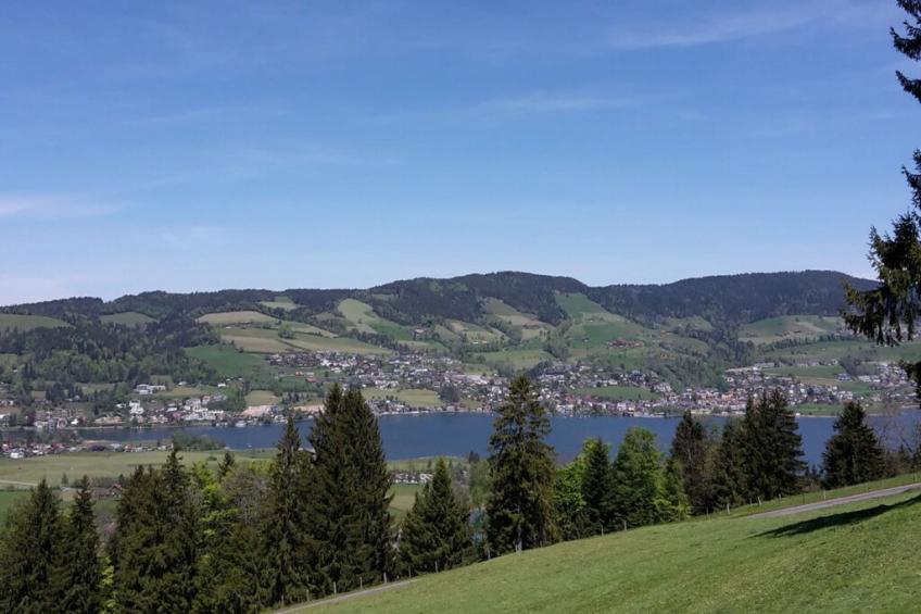 87981 - foto 5