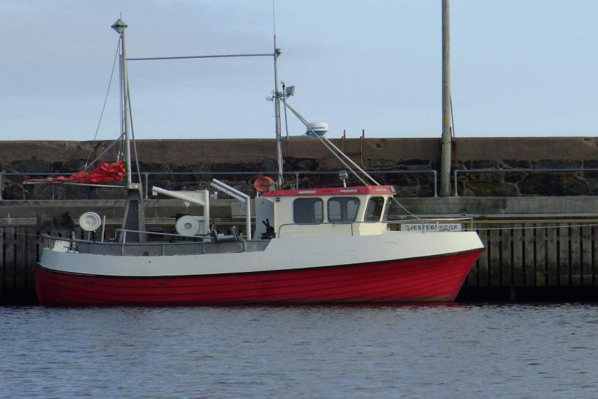 25142-HAVSULA - foto 15