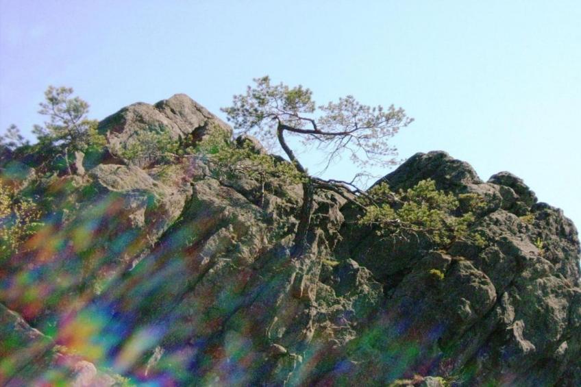 Urlaub auf dem Bauernhof - foto 40