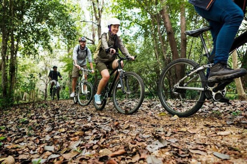 Nid des Amis - foto 29