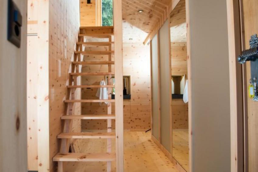 Alphütte-Maiensäss Got Spess Lenzerheide - foto 8