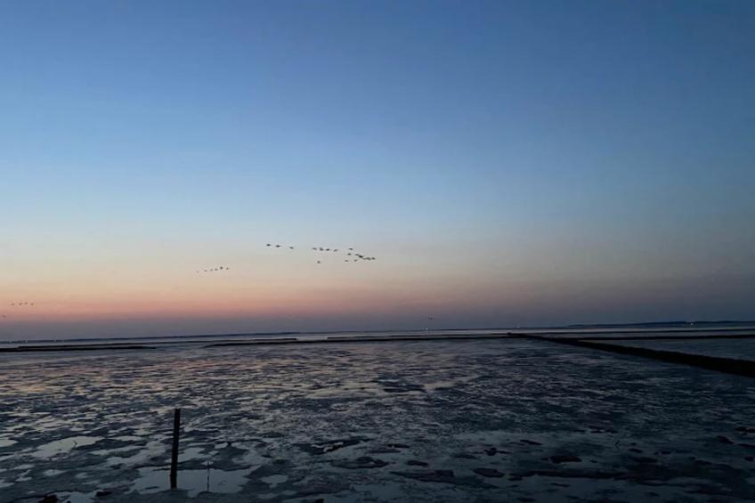 Bungalow Nordseebrise - foto 34