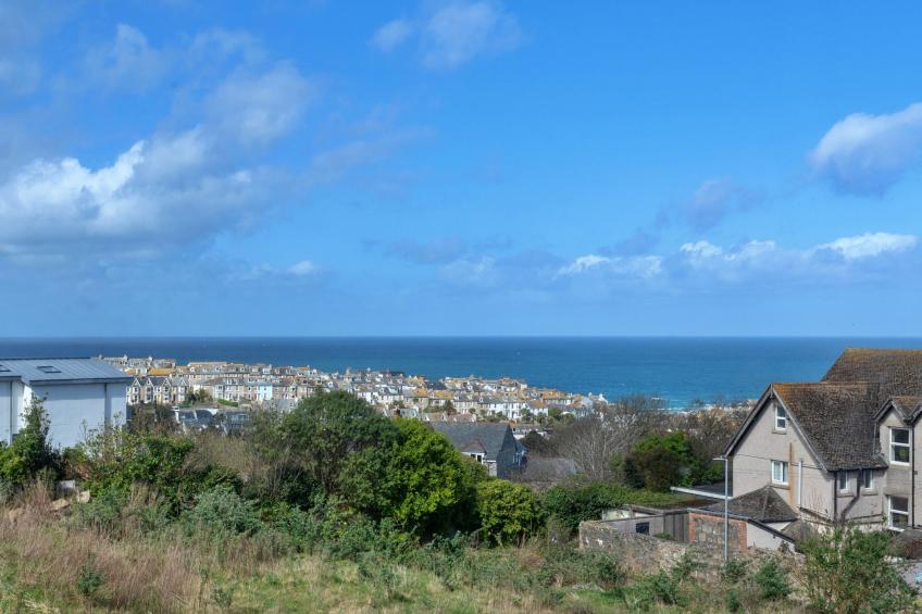 No. 5 Harlequin - foto 22