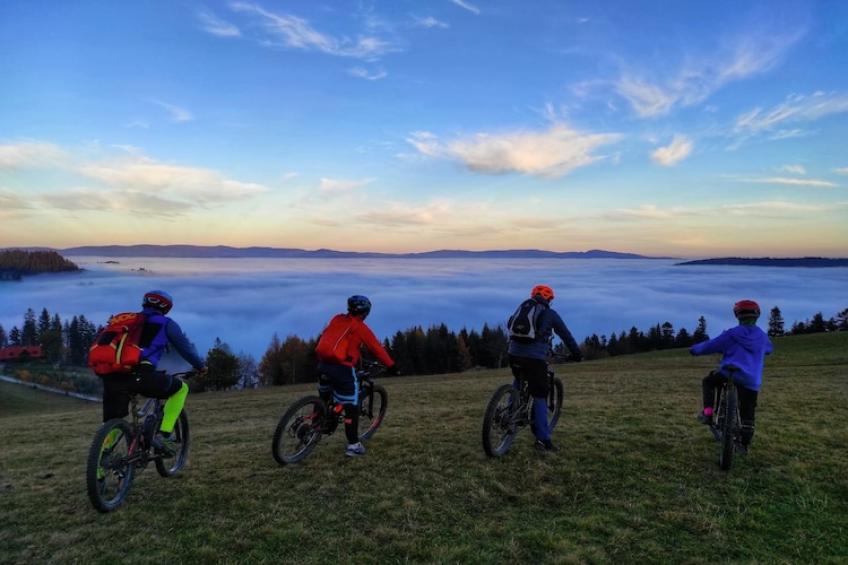 Dom wakacyjny dla 8 osób w Piwnicznej Zdroju - foto 46