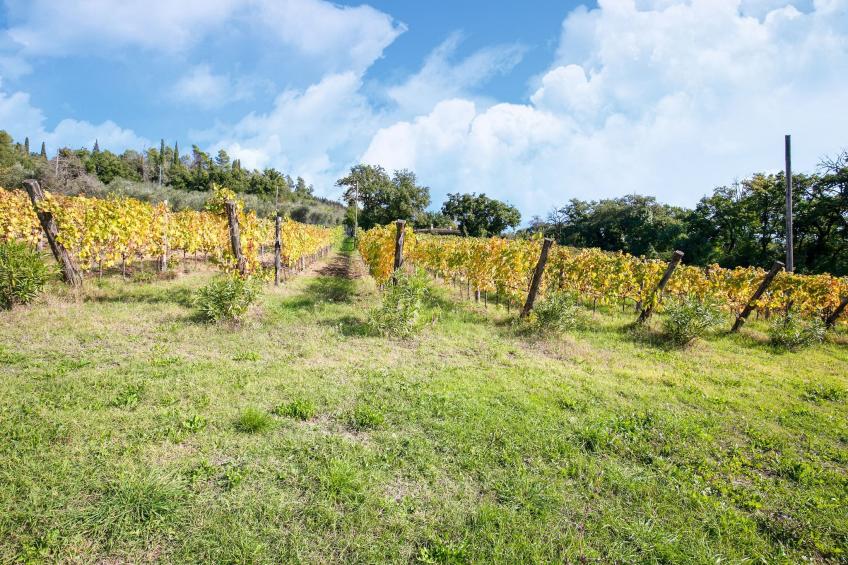 Villa Rosmarino - foto 32