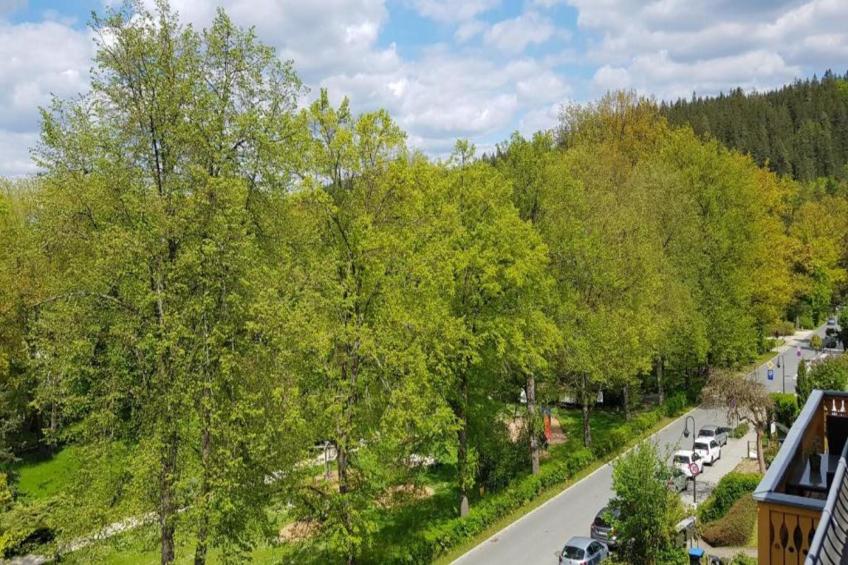 Bad Elster - foto 21