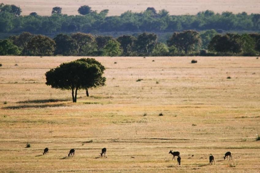 Mirador de la Fuente - foto 39