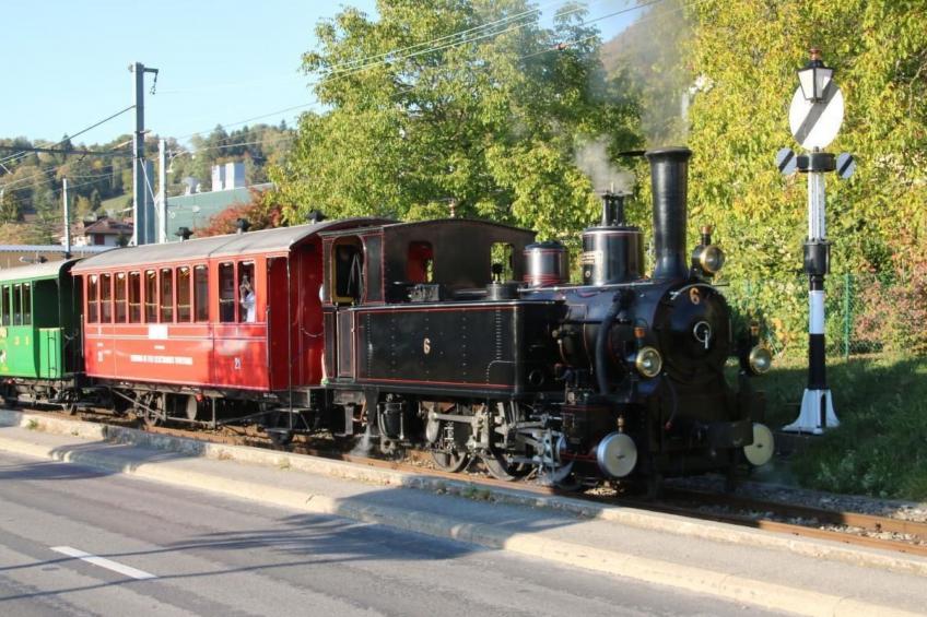 Les Narcisses,Blonay - foto 13