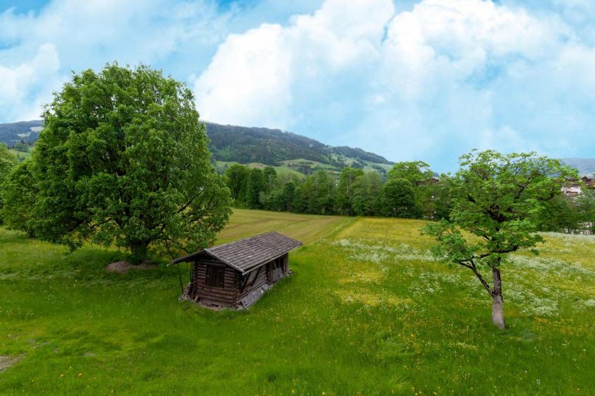 Penthouse Fuchs 1 - foto 27