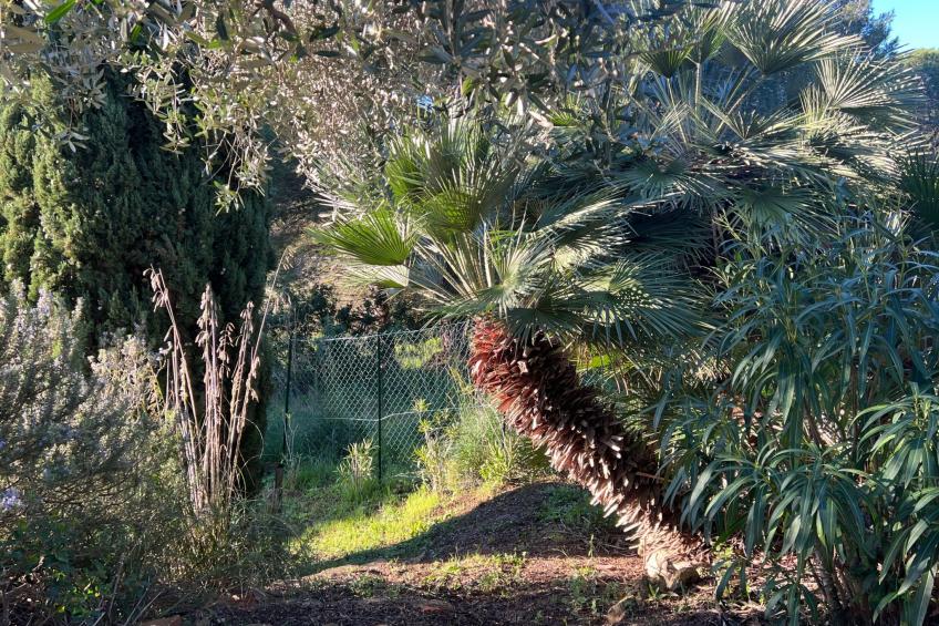 Exklusiv Ferienhaus Elba mit Panorama und Garten - foto 15
