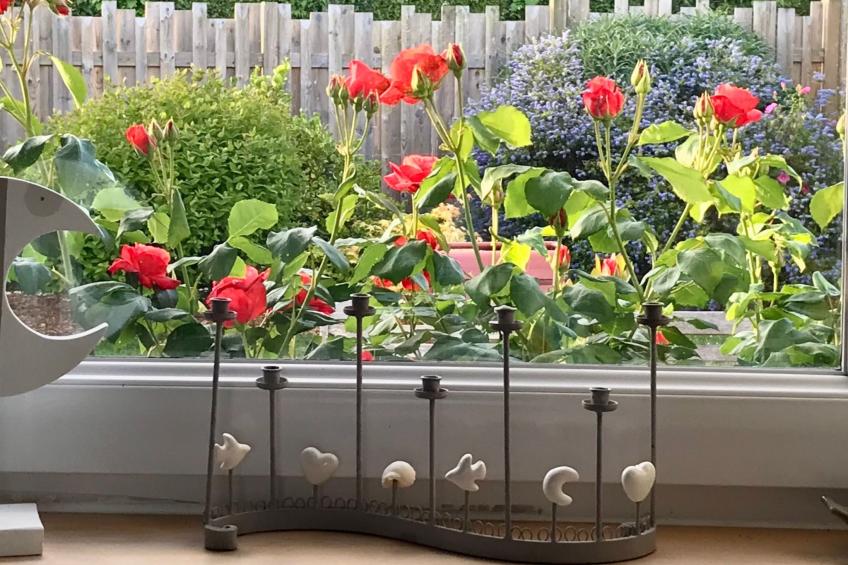 Charmantes Steinhaus in der Nähe des Meeres - foto 29