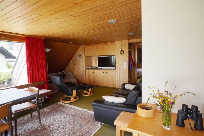Haus DOMO, (Flumserberg Tannenboden), - foto 18
