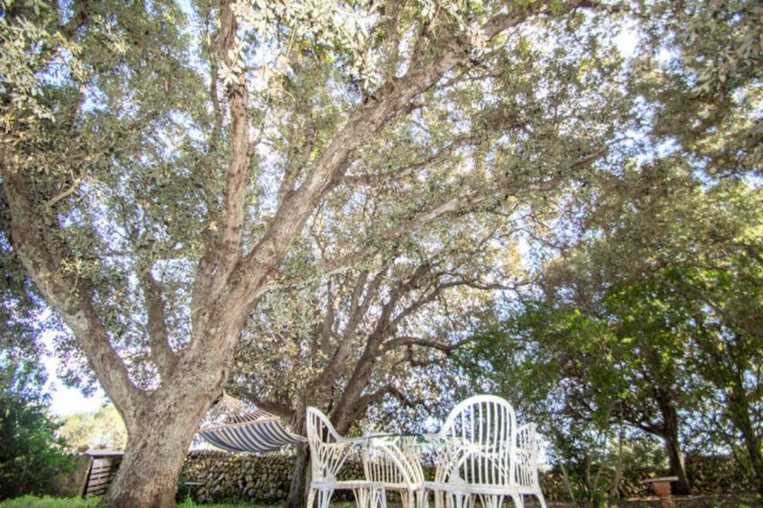 Maison à Cala Galdana - foto 115