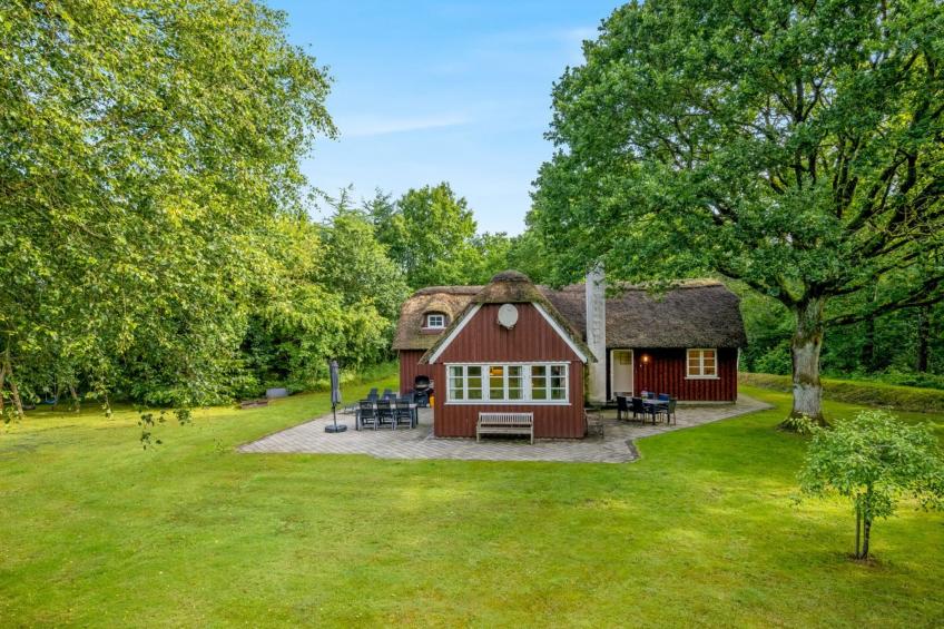 "Fina" - 15km from the sea in Western Jutland - foto 17