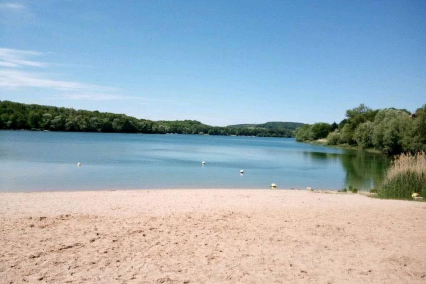 in Celles-En-Bassigny  umzäunter Garten - foto 21