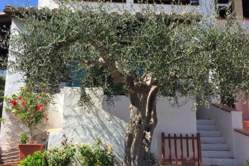 Arcaidu Apartment mit bezaubernder Aussicht - foto 4