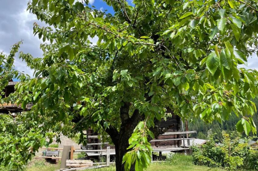 Chalet familial - foto 9