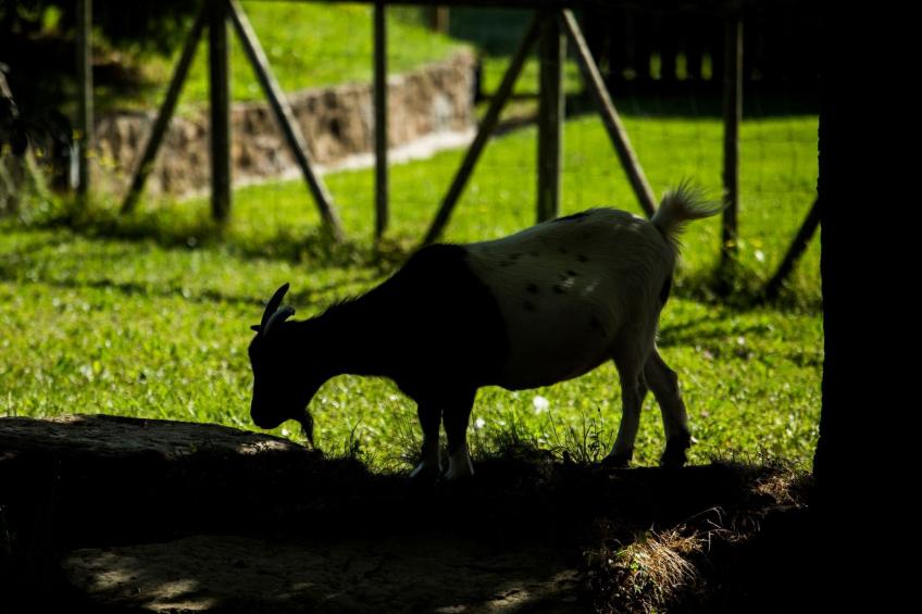 Wohnung "El Corral" mit Terrasse - foto 35