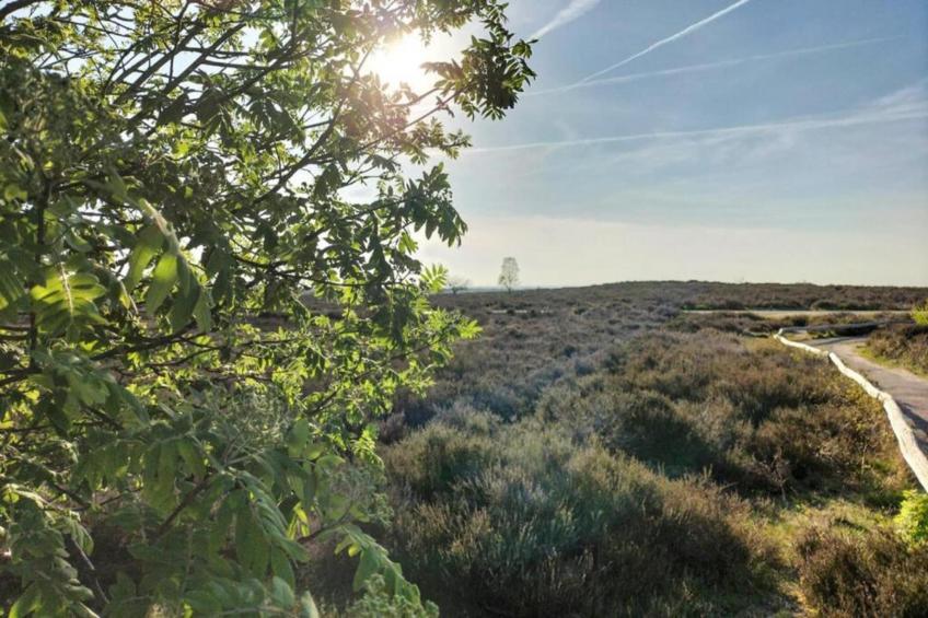 Park Haarle - foto 29