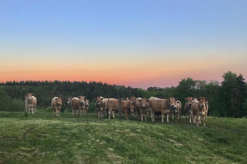 The Grange - foto 34