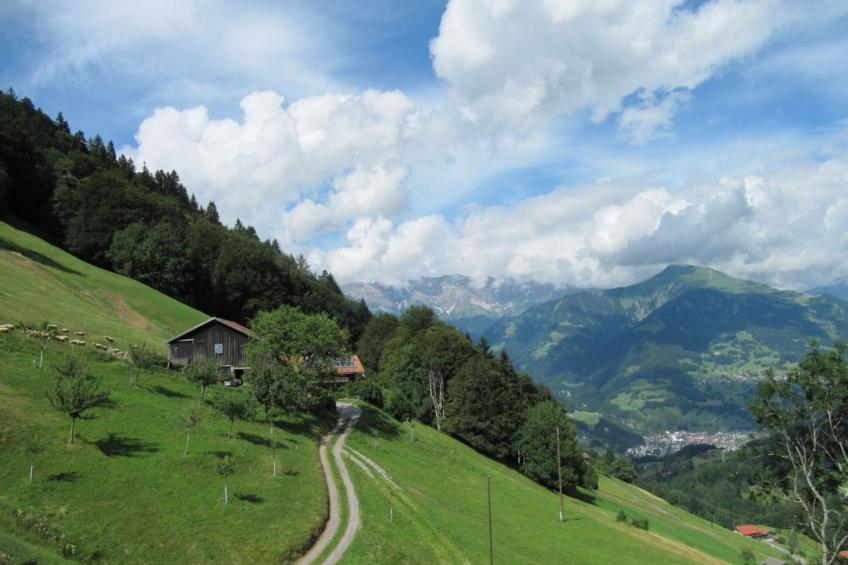 Stirnimann-Gemsch, (Valzeina), stirnimann-gemsch_valzeina - foto 8