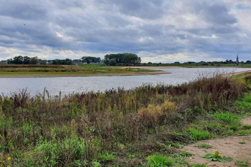 Vakantiepark 't Broeckhuys 6 - foto 29