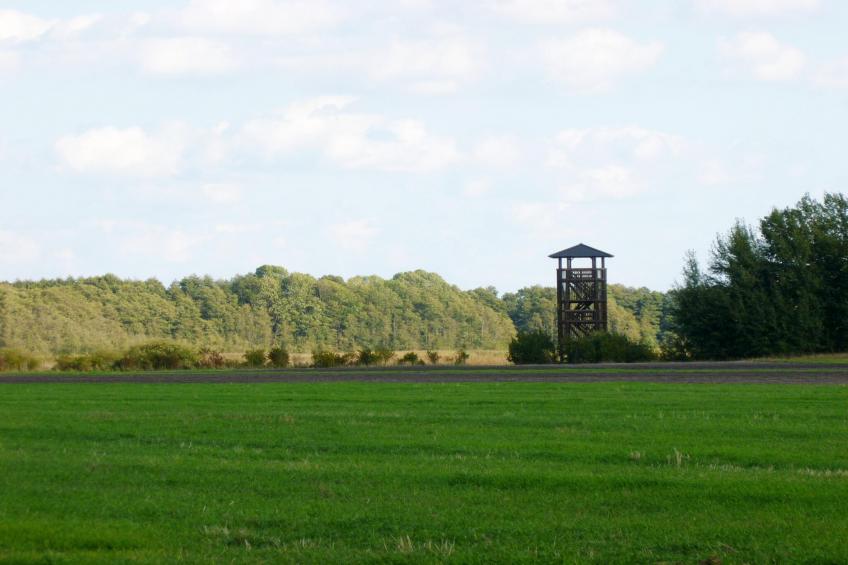 Ferienhaus 4 Elemente - foto 10