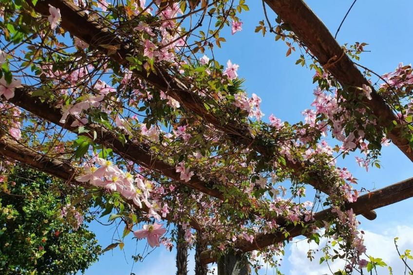 Casa delle Vigne - foto 49