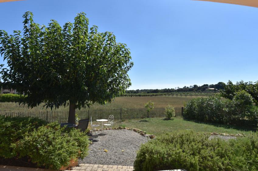 La petite truffe - foto 19