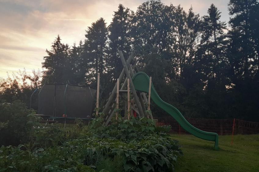 auf dem Bauernhof - foto 28