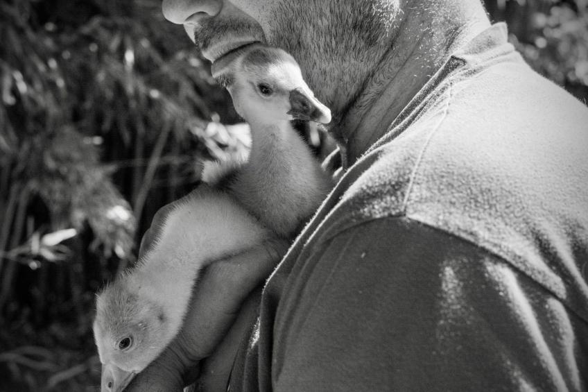 Leonie's Gîte Moulin de Tartay in Avignon - foto 46