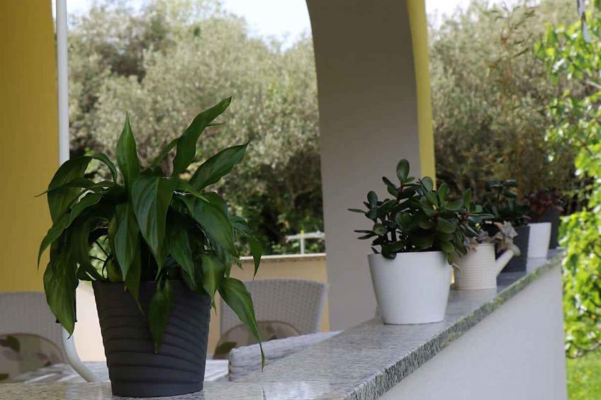 Holiday apartment with 2 bathrooms - BF-9KTW - foto 3