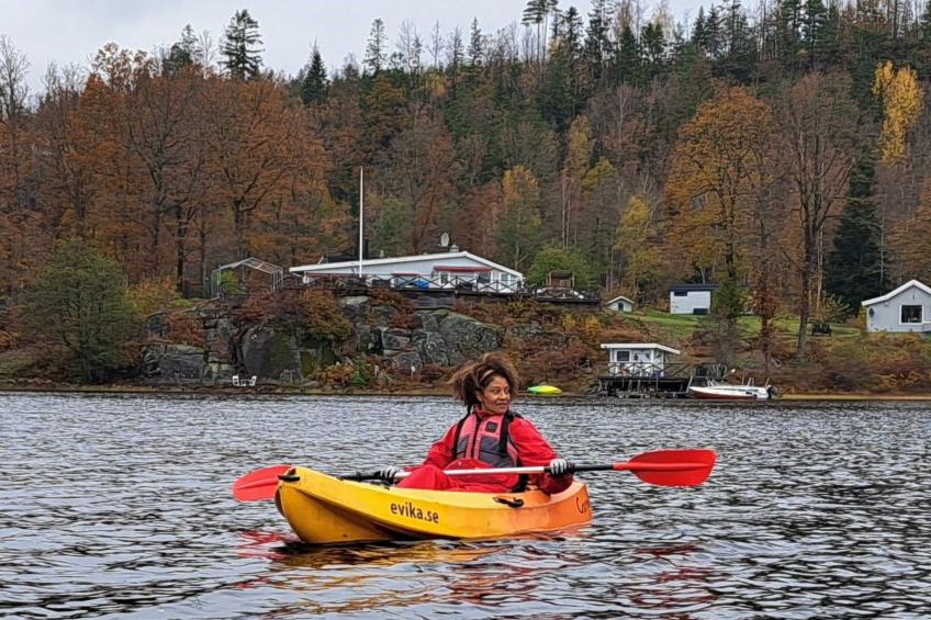 Schwedisches Glück, zwischen Wäldern und einem See - foto 78