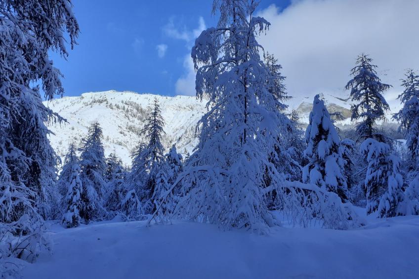 Urlaub in den Bergen - foto 25