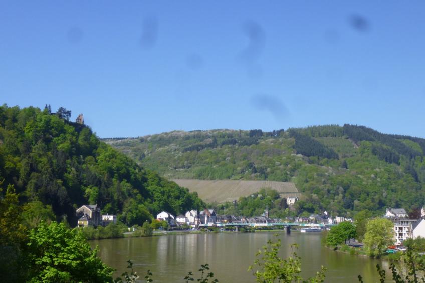 Moselschiefer-Traumferienwohnung am Moselufer - foto 31