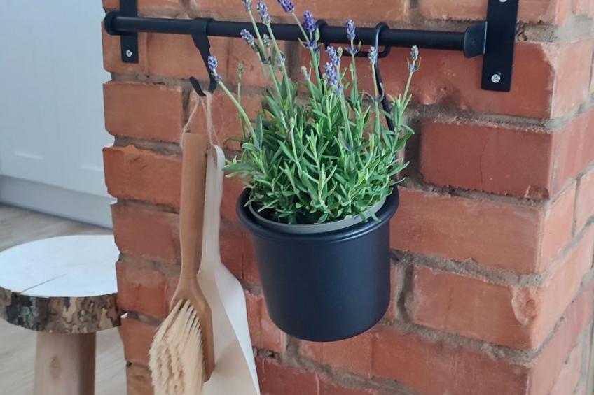 Tor der Berge - Hütte Wolf - foto 2