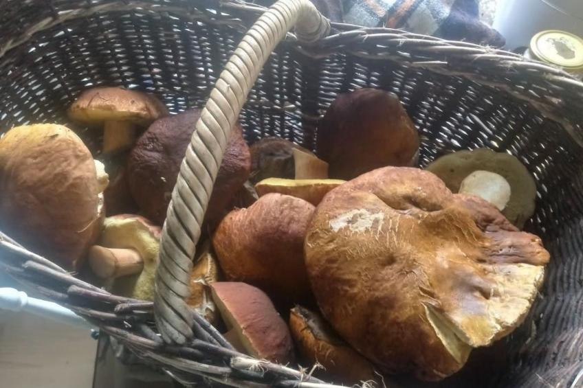 in Vindeln mit Garten, Terrasse und Grill - foto 22