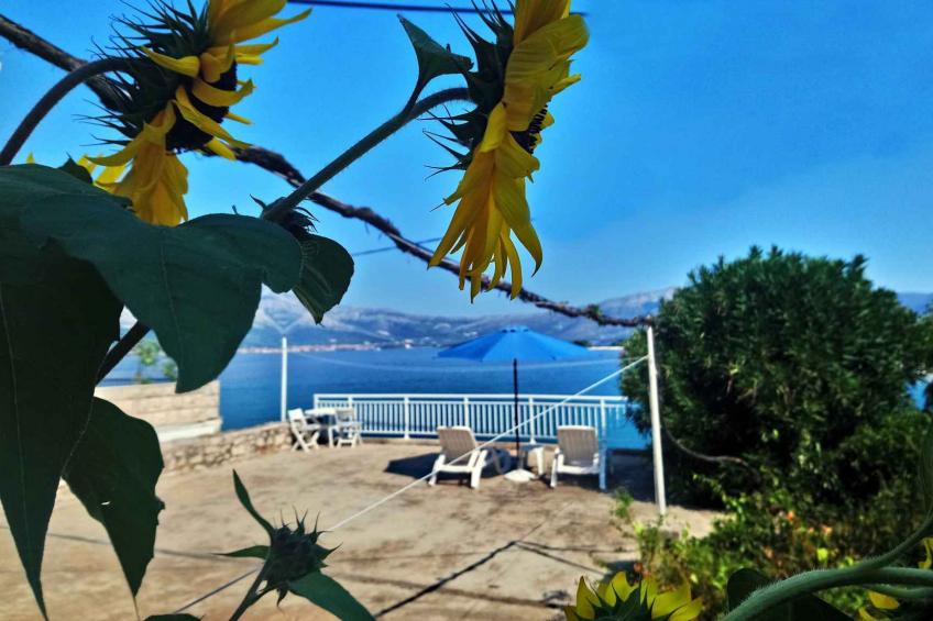 Ferienwohnung am Meer mit Terrasse - BF-JVMBR - foto 46