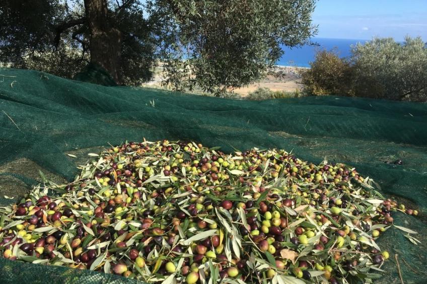 Großes Studio mit Terrasse mit Meerblick - foto 41