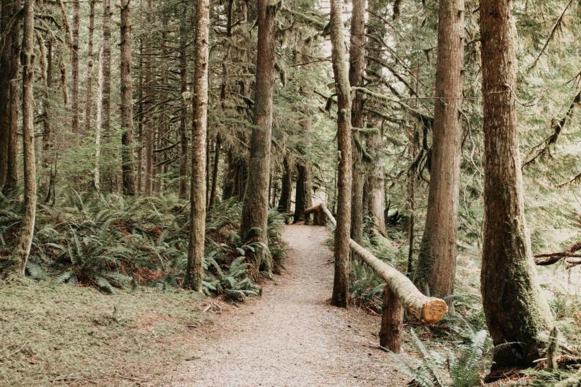 Geräumige Eigentumswohnung mit Sauna, Whirlpool - foto 25