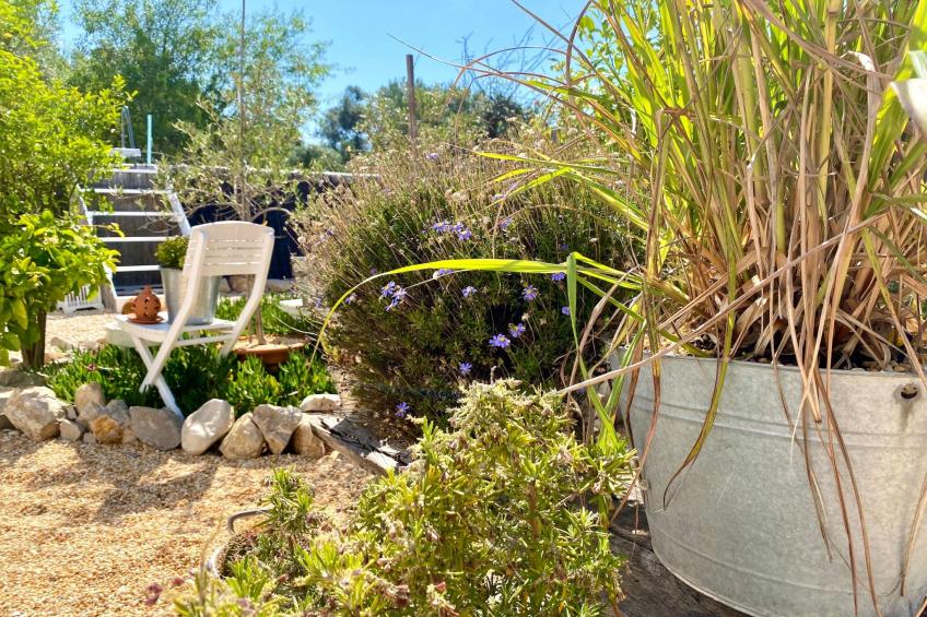 Vila Primaveira , Nur für Erwachsene - foto 15