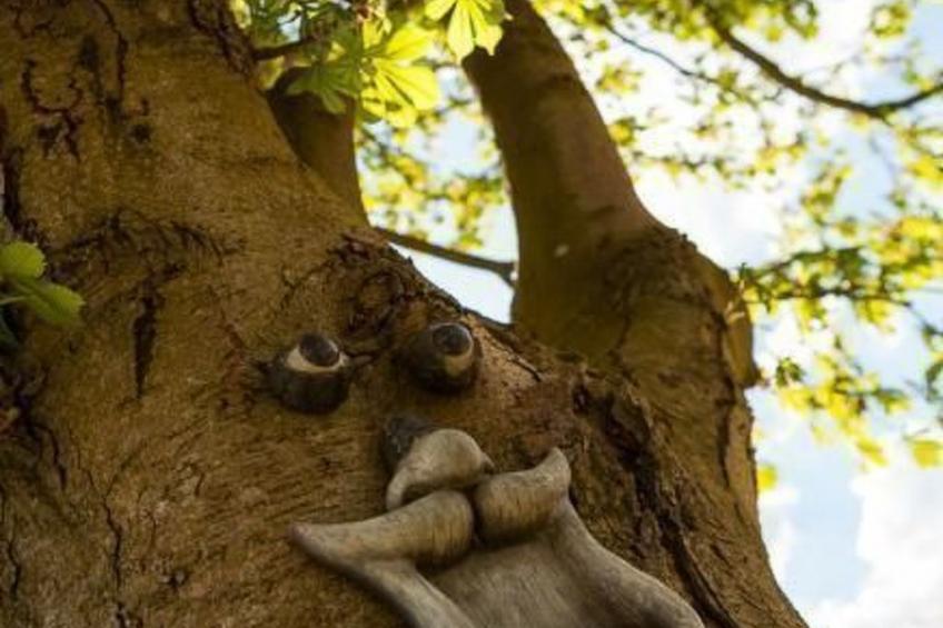 Am Rückerlhof-Katrin - foto 17