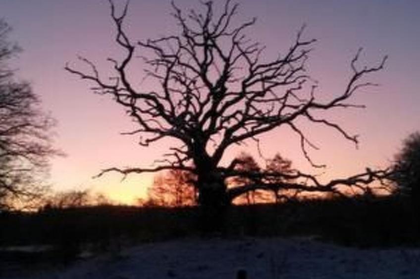 Turmwohnung - foto 16