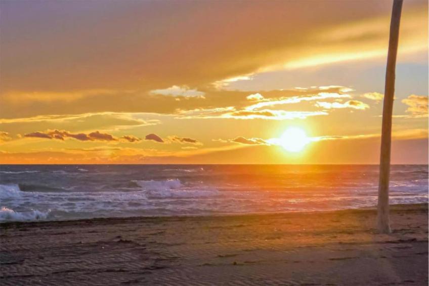 Maison de vacances - MONTFRIN - foto 34