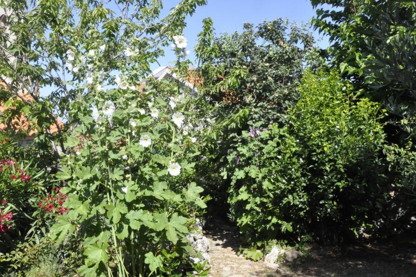 Villa Viktoria - foto 36