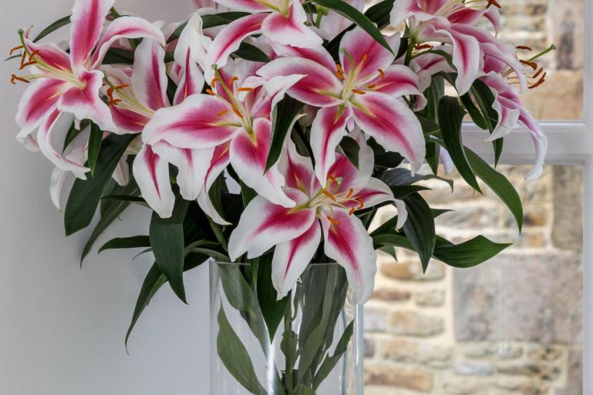 Middle Warble Stables - foto 10