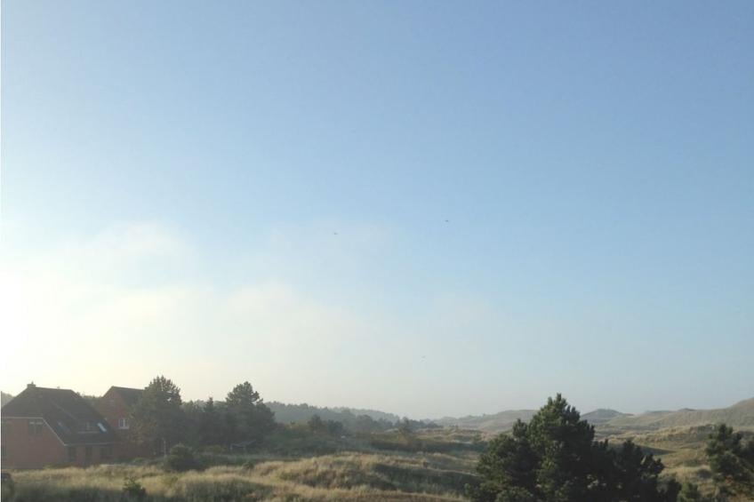 121790 - foto 15