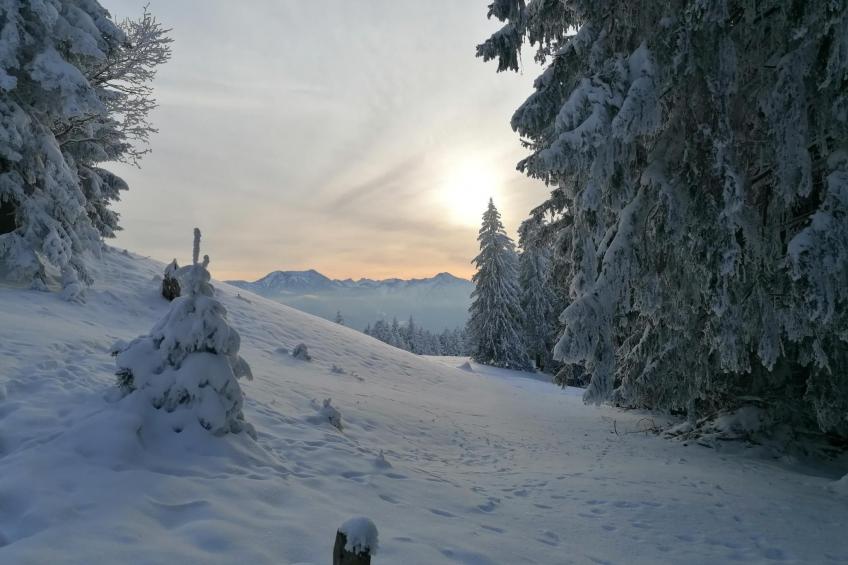 Region Tegernsee - foto 17