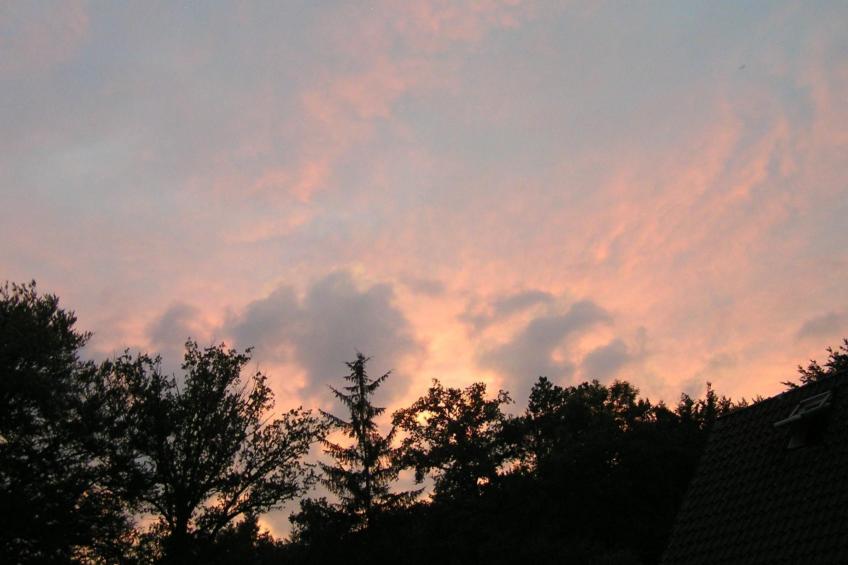 Bungalow Hechthausen - foto 19