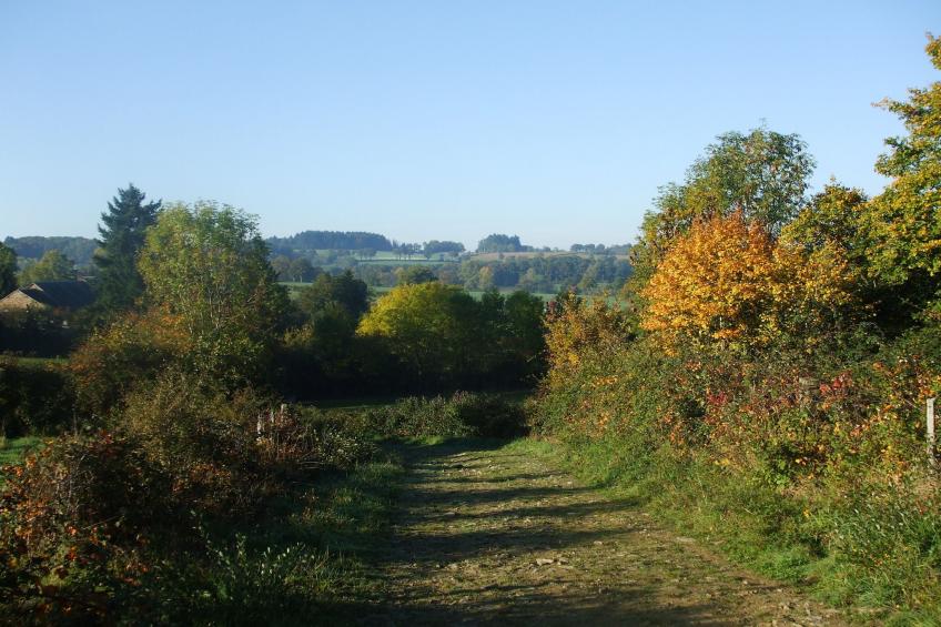 Maison de vacances - PIONSAT - kleine gite - foto 29